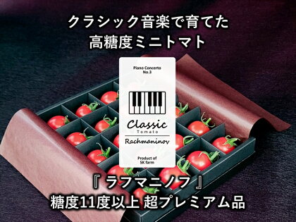 高糖度ミニトマト：クラシックトマト『ラフマニノフ』約300g箱【糖度11度以上　超プレミアム品　甘さ、酸味とのバランス、口に広がる余韻の深さと長さ 長野県 佐久市 】