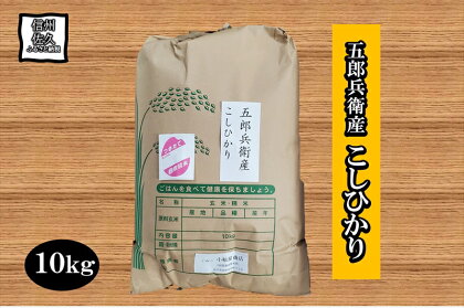 長野県浅科五郎兵衛産こしひかり10kg　白米　精米　こしひかり　五郎兵衛【米 コメ 白米 精米 お米 こめ おこめ 備蓄品 仕送り おすそ分け 備蓄米 コシヒカリ こしひかり 長野県 佐久市 】