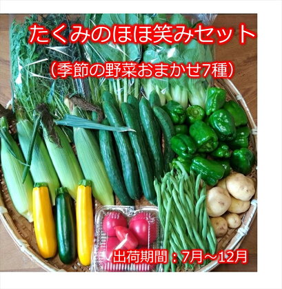 たくみのほほ笑みセット（季節の野菜おまかせ7種）＜出荷開始：2024年7月1日～2024年 12月22日まで＞　高原野菜　レシピ【 野菜 長野県 佐久市 】