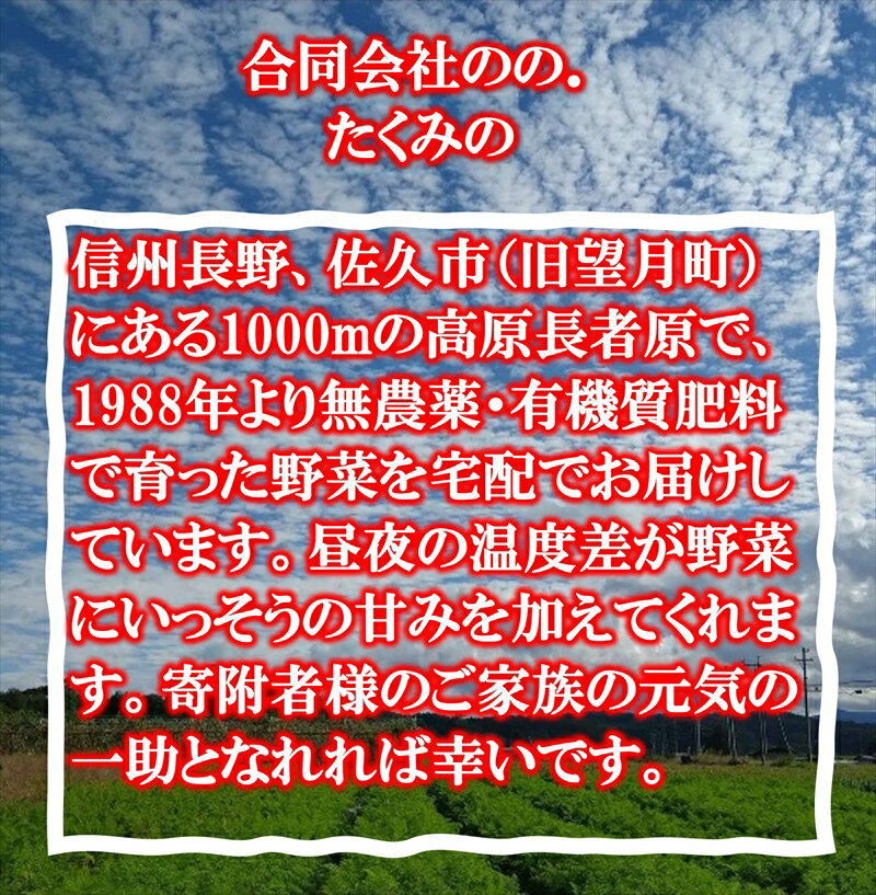 【ふるさと納税】【3ヶ月定期便】たくみのほほ笑みセット（季節の野菜おまかせ7種）　＜出荷開始：2024年7月1日～2024年 12月22日まで＞　高原野菜【 野菜 長野県 佐久市 】 3