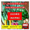 【ふるさと納税】【先行予約】【3ヶ月定期便】たくみのほほ笑みセット（季節の野菜おまかせ7種）　＜出荷開始：2025年7月1日～2025年 9月30日まで＞高原野菜【 野菜 長野県 佐久市 】