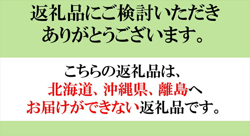 【ふるさと納税】 「自然発酵　どぶろく」　循環型醸造　4種セット　カムナガラ・アヴァン　（生・火入れ）　地酒　飲み比べ＜出荷開始：2024年3月20日～2024年10月31日まで＞【 地酒 お酒 長野県 佐久市 】