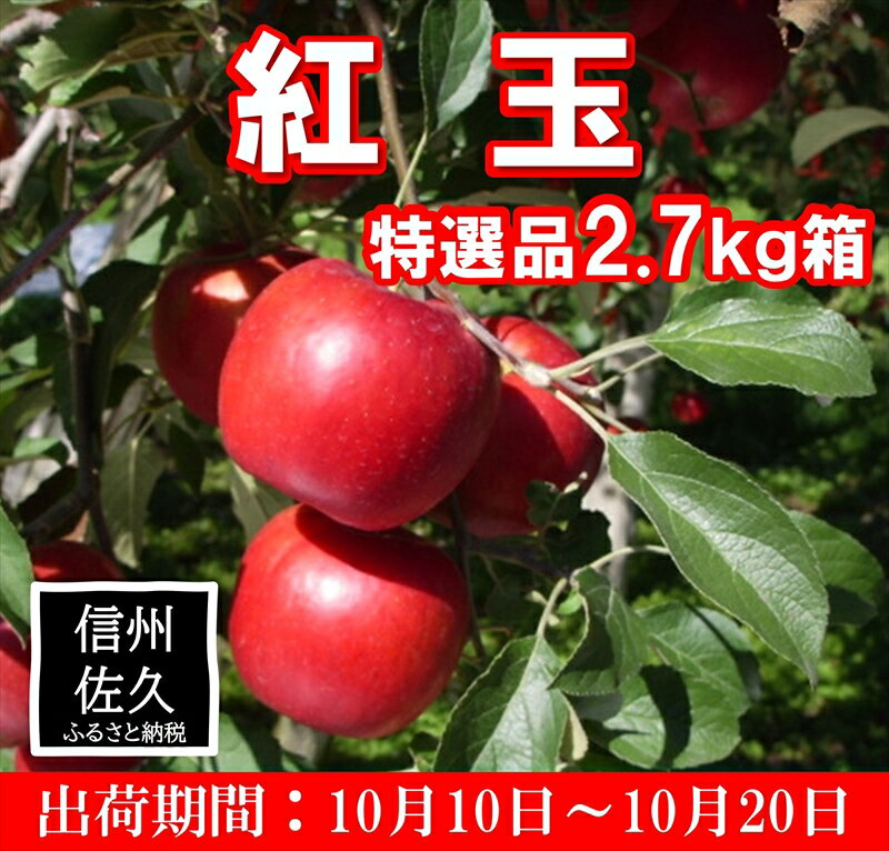 【ふるさと納税】リンゴ　紅玉　特選品2.7kg箱　＜出荷期間：2024年10月10日～10月20日＞【日本のリンゴの元祖　独特の酸味と甘さに根強い人気　生食はもちろん、加工にも最適 長野県 佐久市 】のサムネイル