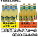 【ふるさと納税】 信州佐久 果実酒 千曲錦 果実感溢れるリキュール 250ml2種×各6本 計12本飲み比べセット【 酒 さけ 長野県 佐久市 】