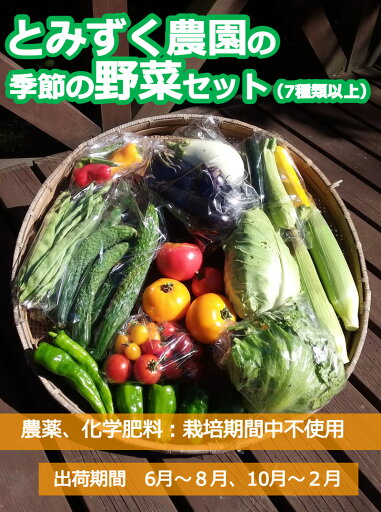 【ふるさと納税】とみずく農園の季節の野菜セット【単品】(北海道・沖縄県・離島は配送不可) 無農薬 高原野菜 旬 新鮮 詰合せ<出荷時期2025年6月17日以降出荷開始~2026年2月28日出荷終了> 【 産地直送 産直 季節の野菜 旬の野菜 有機野菜 有機栽培 長野県 佐久市 旬彩】 【ふるさと納税】とみずく農園の季節の野菜セット【単品】(北海道・沖縄県・離島は配送不可) 無農薬 高原野菜 旬 新鮮 詰合せ<出荷時期2025年6月17日以降出荷開始~2026年2月28日出荷終了> 【 産地直送 産直 季節の野菜 旬の野菜 有機野菜 有機栽培 長野県 佐久市 旬彩】