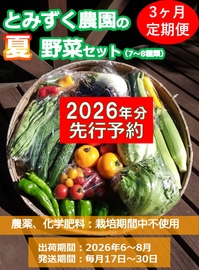 【ふるさと納税】【2026年先行予約・3ヶ月連続定期便】とみずく農園の夏野菜セット (北海道・沖縄県・離島は配送不可) 無農薬 高原野菜 旬 新鮮 詰合せ 〈出荷時期:2026/6/17～2026/8/28出荷終了〉【 産地直送 旬の野菜 有機野菜 有機栽培 長野県 佐久市 旬彩】のサムネイル
