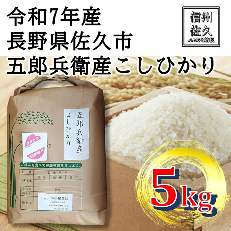 【ふるさと納税】【令和7年産・白米5kg】五郎兵衛産こしひかり（北海道・沖縄・離島は配送不可）信州 長野県 佐久市 浅科 精米 新米【米 コメ 白米 精米 お米 こめ おこめ 備蓄品 仕送り おすそ分け 備蓄米 コシヒカリ こしひかり 長野県 佐久市 】