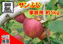【ふるさと納税】長野県産 サンふじ りんご 家庭用 約5kg (14~25玉)〈2025年12月出荷分/北海道・沖縄県・離島は配送不可〉信州 果物 旬彩 先行予約 季節限定【 当園にて愛情たっぷりに育てたりんご 長野県 佐久市 旬彩 】