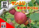 【ふるさと納税】長野県産 サンふじ りんご 家庭用 約10kg (28~50玉)〈2025年12月出荷分/北海道・沖縄県・離島は配送不可〉信州 果物 旬彩 先行予約 季節限定【 当園にて愛情たっぷりに育てたりんご 長野県 佐久市 旬彩 】
