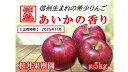【ふるさと納税】長野県産りんご『あいかの香り』 家庭用 約5kg(10~23玉入)<2025年11月出荷/沖縄・離島は配送不可>信州 果物 旬彩 先行予約 期間限定 国産 【幻のリンゴ 希少品種あいかの香り 長野県 佐久市 旬彩】