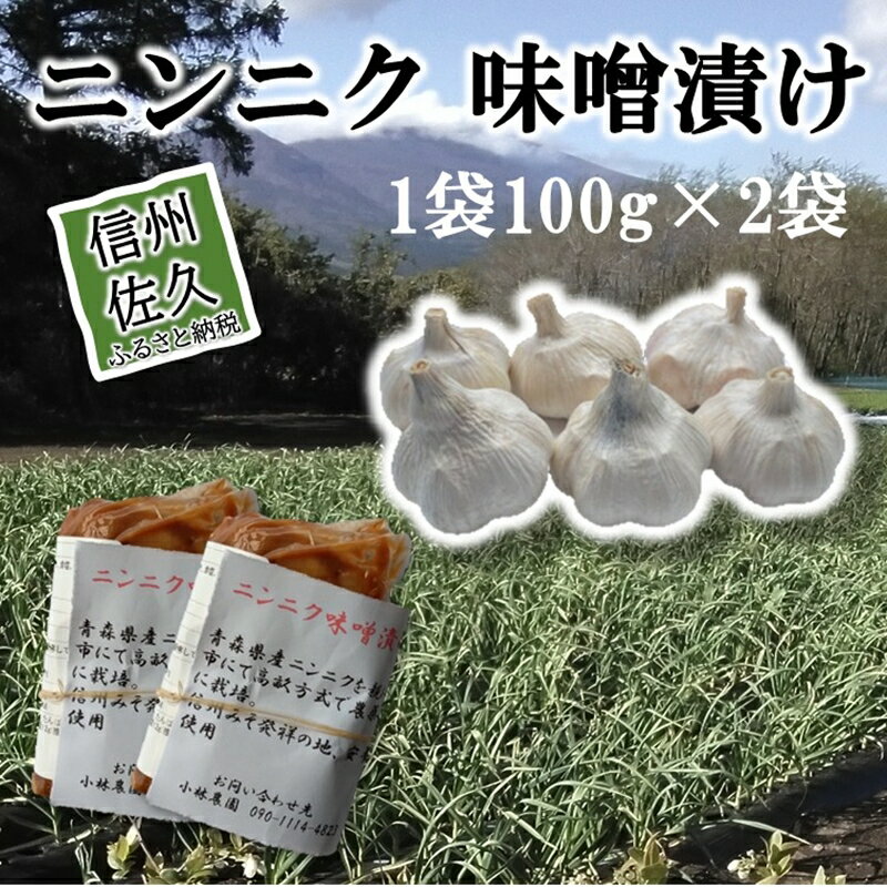 【ふるさと納税】ニンニク味噌漬け200g（100g×2袋）＜沖縄・離島は配送不可＞にんにく 無農薬 ホワイト六片種 安養寺味噌 信州味噌 【 漬物 長野県 信州 佐久市】