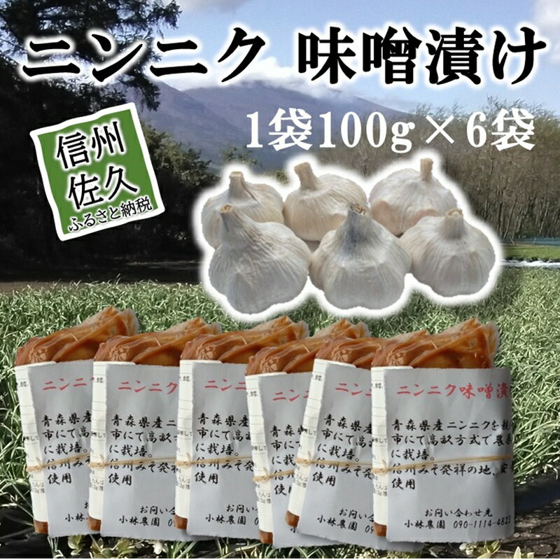 【ふるさと納税】ニンニク味噌漬け600g（100g×6袋）＜沖縄・離島は配送不可＞にんにく 無農薬 ホワイト六片種 安養寺味噌 信州味噌 【 漬物 長野県 信州 佐久市】