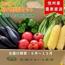 【ふるさと納税】【産地直送・新鮮】朝採れおまかせ旬の高原野菜 7種セット (出荷時期 : 2025年6月~12月/北海道・沖縄県・離島は配送不可) | 信州 栽培期間中 無農薬 産直 季節 旬 岩渕なないろ農園 旬彩