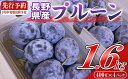 【ふるさと納税】【2025年9月上旬~中旬発送】令和7年産プルーン約1.6kg(400g×4パック)<北海道・沖縄・離島は配送不可> サンプルーン 果物 フルーツ くだもの 生プルーン プルーン栽培発祥の地 信州 長野県 佐久市 産地直送 旬 旬彩