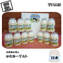 【ふるさと納税】 大草原の恋人 望月高原ヨーグルト 12本 飲むヨーグルト【ヨーグルト はっ酵乳 生乳、砂糖、ぶどう糖加糖液糖、乳製品、オリゴ糖 佐久浅間農業協...