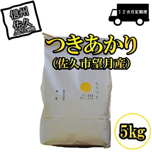 【12ヶ月定期便】佐久市望月のつきあかり 白米5kg　大粒　食べ応え　うま味　もっちり　和食〈出荷時期:2023年10月1日以降～2024年9月30日出荷終了〉【 長野県 佐久市 】