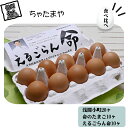 【ふるさと納税】 ちゃたまや 浅間小町 20ヶ と 命のたまご 10ヶ と えるごらん命 10ヶ 【 「浅間小町」は長野県知事賞を受賞のたまご 発芽玄米育ちの「...