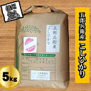 4位! 口コミ数「0件」評価「0」長野県浅科五郎兵衛産こしひかり5kg　白米　精米　こしひかり　五郎兵衛【米 コメ 白米 精米 お米 こめ おこめ 備蓄品 仕送り おすそ分け･･･ 