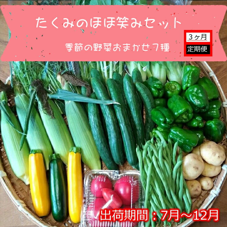 【ふるさと納税】【3ヶ月定期便】たくみのほほ笑みセット（季節の野菜おまかせ7種）　＜出荷開始：2024年7月1日～2024年 12月22日まで＞　高原野菜【 野菜 長野県 佐久市 】 1