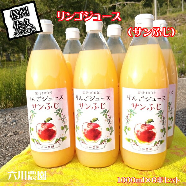 【ふるさと納税】 リンゴジュース　1000ml×6本セット（