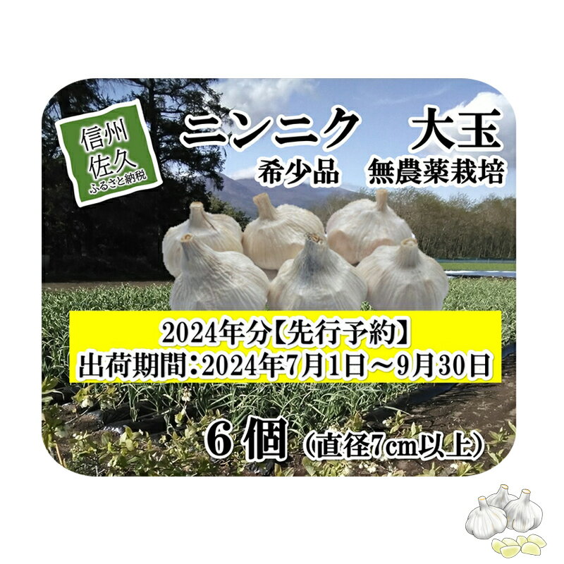 [希少品]ニンニク大玉 6個(直径7cm以上) 生にんにく 無農薬栽培 ホワイト六片種 最高級 [出荷時期:2024年7月1日〜2024年9月30日][小林農園 安心安全 長野県 佐久市 ]