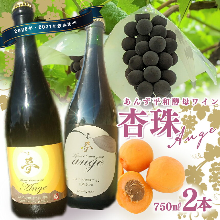 【ふるさと納税】あんず 平和酵母 ワイン 杏珠 飲み比べセット ｜ お酒 杏 酵母 特産品 千曲市 長野県 果実酒 巨峰 スパークリング 果実酒 あんずワイン 酒 アルコール