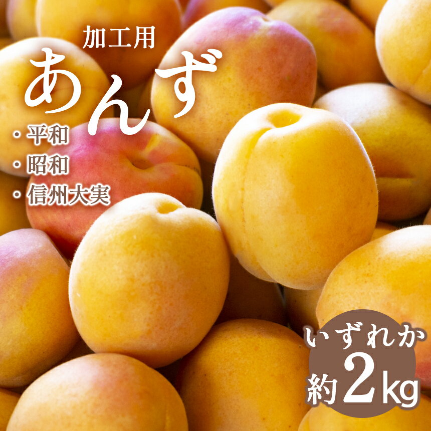 ڤդ뤵Ǽǡ۲ù  (ʿ¡¡¡ ޤ 2kg  Ĺ ʻ  û   