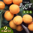 【ふるさと納税】生食用 あんず (信山丸） 約2kg ｜ 長野県 千曲市 あんず 特産 杏 数量 限定