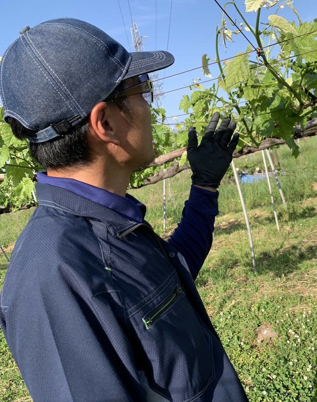 長野県千曲市の画像2