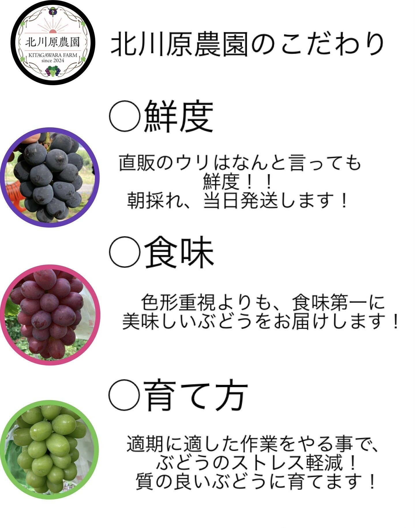 長野県千曲市の画像3