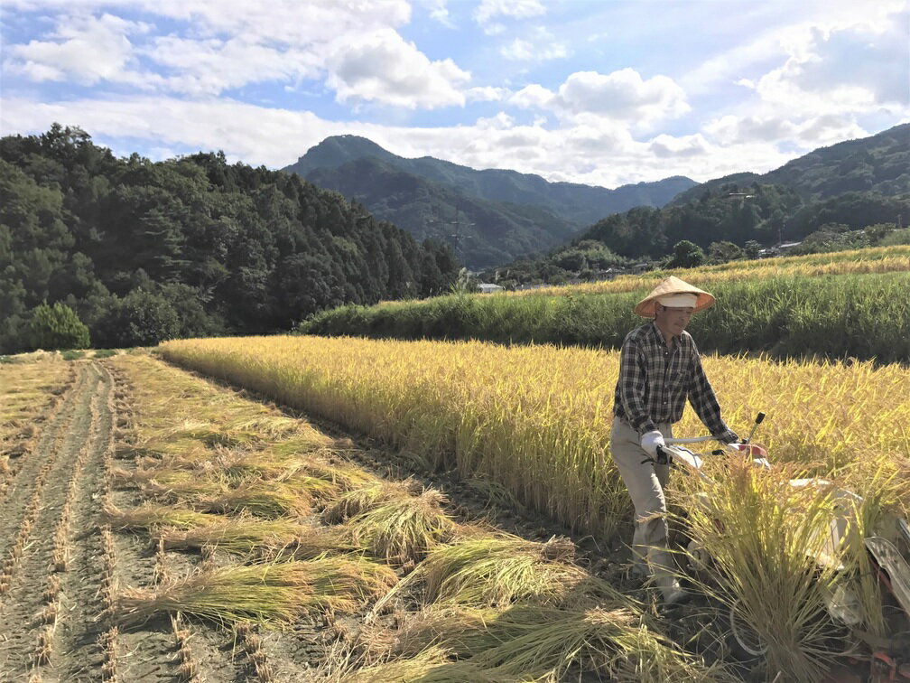 【ふるさと納税】【2026年先行予約】【令和8年産】姨捨 の 棚田 プレミアム コシヒカリ 「 棚田姫 」 5kg (単品/定期便) | 米 白米 精米 棚田米 長野県 千曲市 おばすて 信州