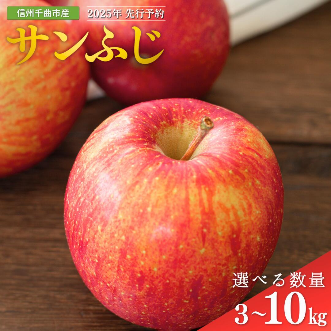 【ふるさと納税】りんご サンふじ 約3kg / 5kg / 10kg |林檎 蜜入り 果物 フルーツ サン ふじ 3kg 5kg 10kg 信州林檎 信州りんご 信州 長野 千曲市 送料無料のサムネイル