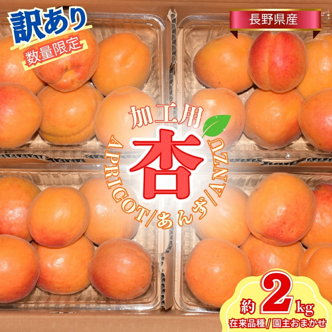 【ふるさと納税】訳あり あんず おまかせ加工用 計約2kg| 杏子 アプリコット 信州 ...