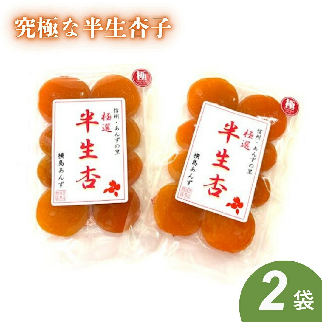 【ふるさと納税】セミドライ 極撰 究極な半生杏子（100g×2袋） | あんず アンズ 杏子 ドライフルーツ
