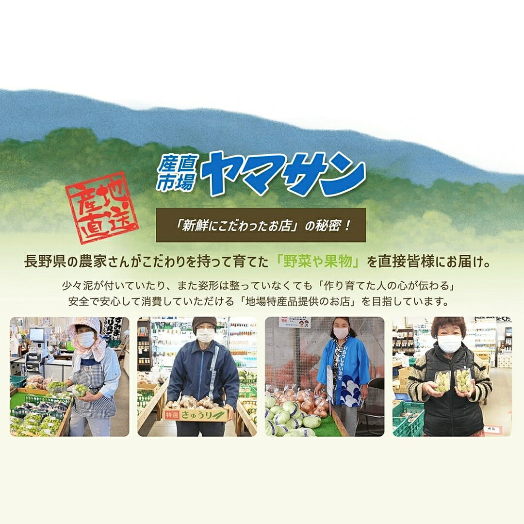 【ふるさと納税】【2026年先行予約】千曲市産 サンふじ りんご 約5kg | 林檎 リンゴ アップル 果物 くだもの フルーツ 5キロ お取り寄せ 産地直送 長野県産 信州林檎 信州りんご 信州 長野 千曲市 f202185-chikuma-10001287 長野県千曲市 サンプル画像3