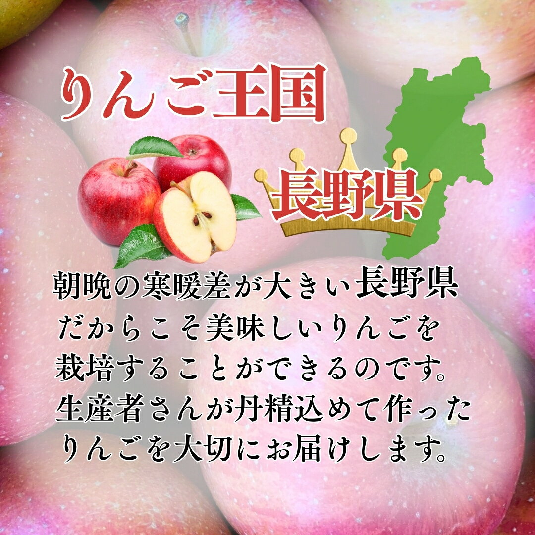 【ふるさと納税】【2026年先行予約】千曲市産りんご 季節のりんご3種 約5kg 訳あり 家庭用 | 林檎 リンゴ アップル 果物 くだもの フルーツ 5キロ わけあり 訳アリ お取り寄せ 産地直送 長野県産 信州林檎 信州りんご 信州 長野 千曲市 f202185-chikuma-10001286 長野県千曲市 サンプル画像3