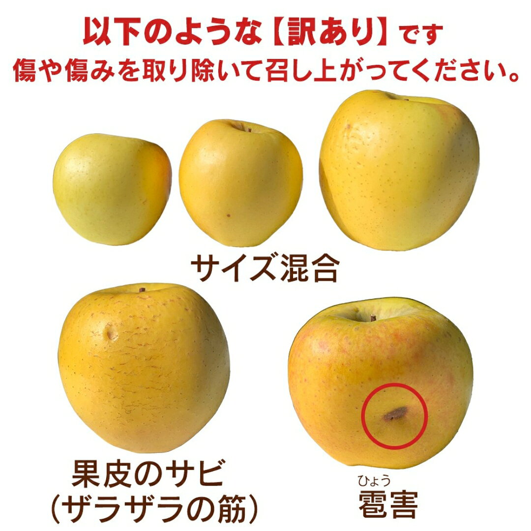 【ふるさと納税】【2026年先行予約】千曲市産 シナノゴールド りんご 約3~5kg 訳あり 家庭用 | 林檎 リンゴ アップル 果物 くだもの フルーツ 3キロ 5キロ わけあり 訳アリ お取り寄せ 産地直送 長野県産 信州林檎 信州りんご 信州 長野 千曲市 f202185-chikuma-10001281 長野県千曲市 サンプル画像3