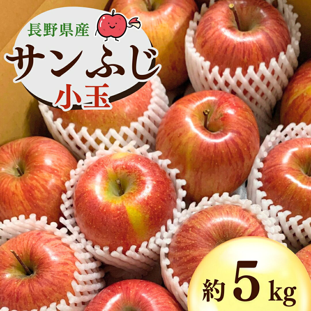 【ふるさと納税】千曲市産 サンふじ りんご 約5kg 小玉 訳あり 家庭用 | 林檎 リン...