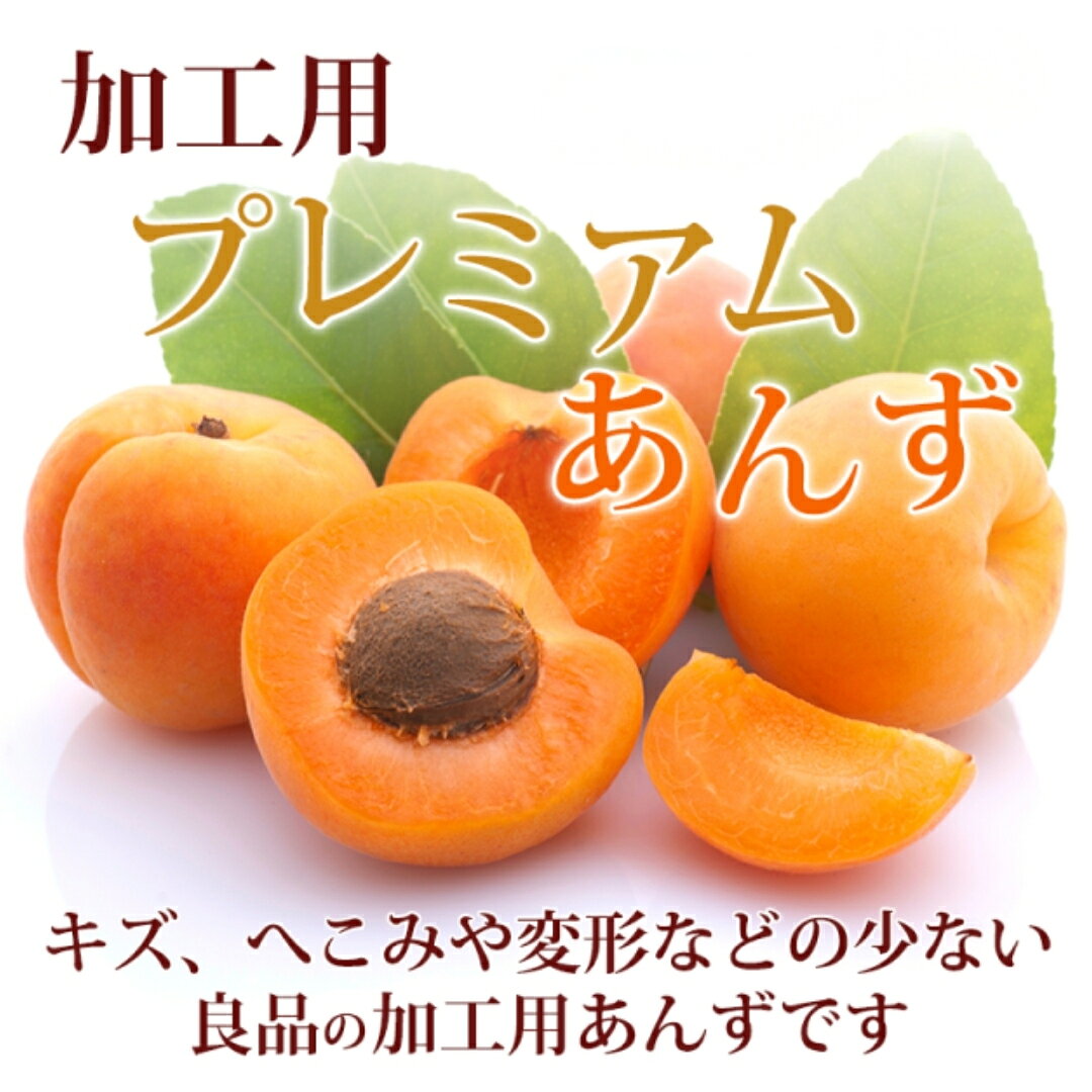 【ふるさと納税】【2027年先行予約】長野県千曲市産 加工用(秀品)生あんず 約1kg~約2kg | あんず 杏子 アンズ アプリコット 果物 くだもの フルーツ 生食 果実酒 お取り寄せ 産地直送 国産 長野県産 信州 長野 千曲市 f202185-chikuma-10001337 長野県千曲市 サンプル画像2