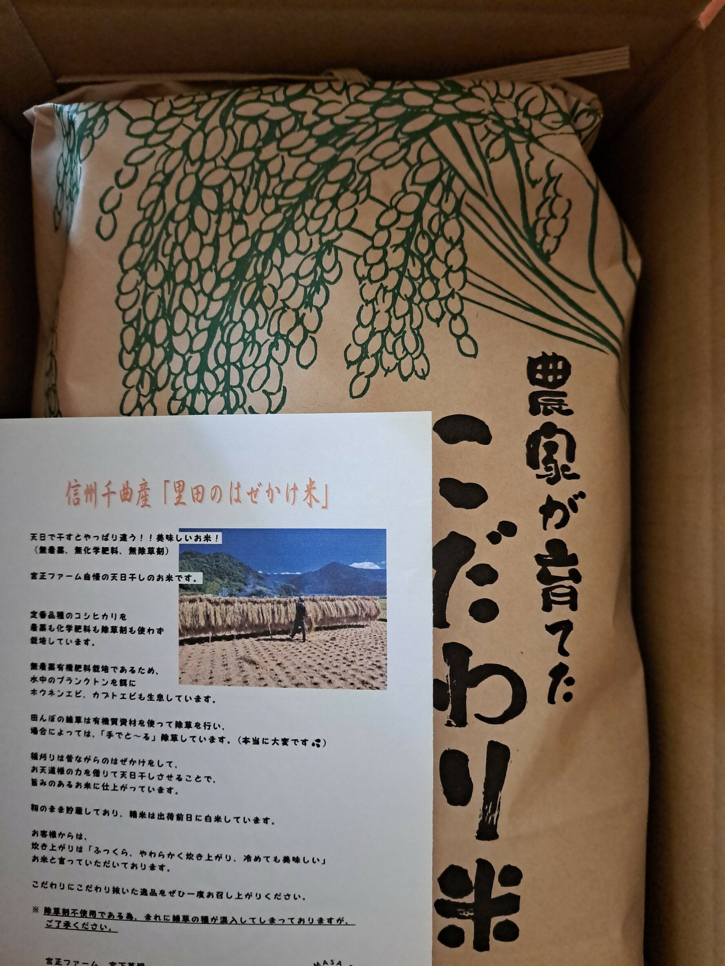 樂天商城 - 【ふるさと納税】【2026年先行予約】 令和8年度 信州千曲産 里田のはぜかけ米 5kg | 米 お米 精米 白米 長野県 千曲市 信州