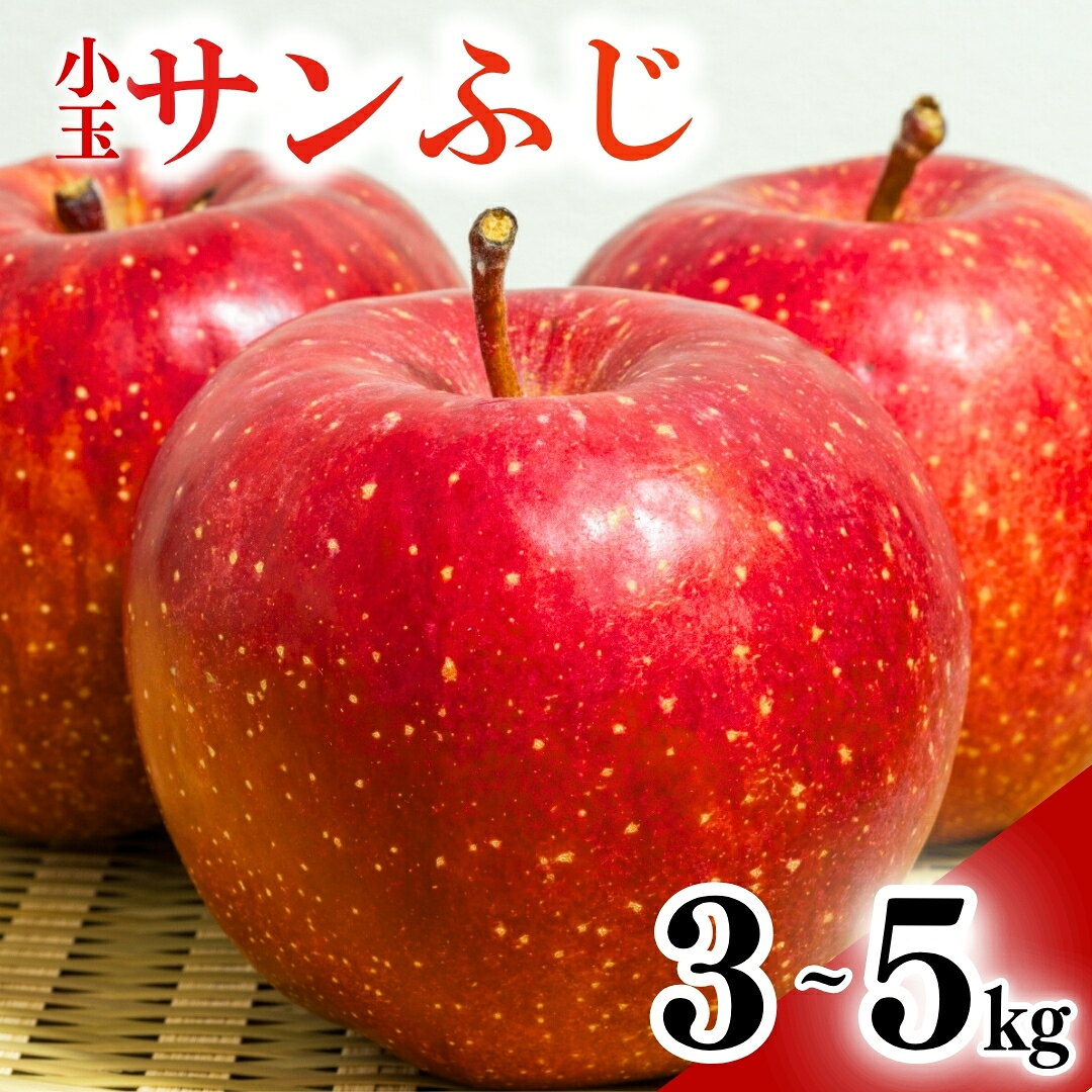 [2026年先行予約]りんご 小玉サンふじ 約3~5kg | 信州りんご 長野りんご リンゴ 林檎 さんふじ サンフジ 千曲市 長野県産 信州