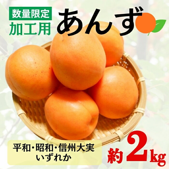 山杏 - 【ふるさと納税】あんず おまかせ加工用(平和・昭和・信州大実) 約2kg | 杏子 アプリコット 信州 長野県 千曲市