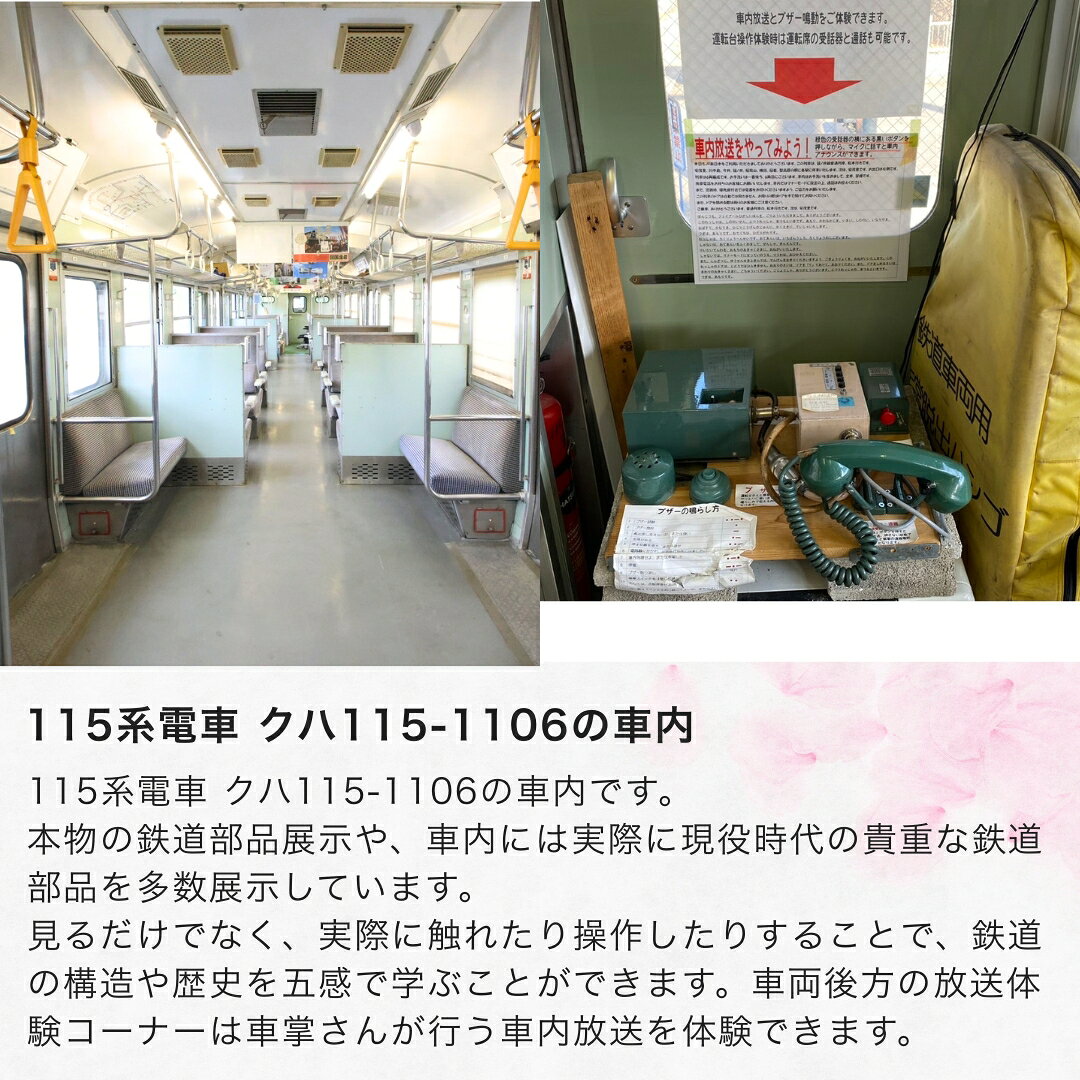 長野県千曲市の【ふるさと納税】115系電車車両1時間貸切プラン / 万葉超音波温泉 入浴券(大人1枚)＋115系電車車両1時間貸切プラン | 温泉 旅行 体験 温泉旅行 千曲市 長野県産 信州｜アングル3