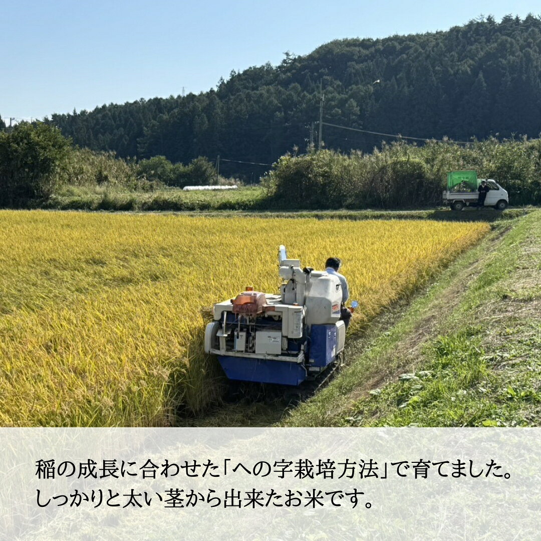 【ふるさと納税】【2026年先行予約】信州大田原産 新米 あきたこまち玄米 5kg~10kg | あきたこまち 新米 玄米 お米 おこめ コメ 5キロ 10キロ 千曲市 信州 長野県 f202185-chikuma-10001315 長野県千曲市 サンプル画像3