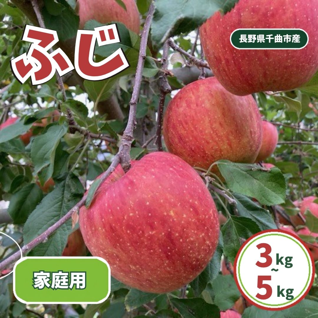 ふじ 家庭用 約3kg~約5kg| 林檎 リンゴ アップル 果物 くだもの フルーツ 長野県産 信州林檎 信州りんご 信州 長野 千曲市