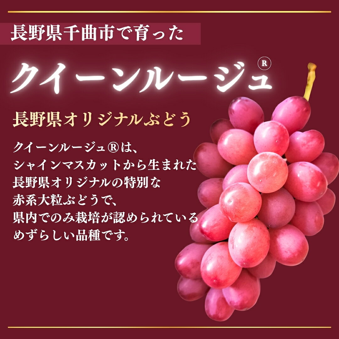 【ふるさと納税】ラグジュアリーなブドウ クイーンルージュ® 1~4房 (約450g~約1.8kg)【半蔵農園】| クイーンルージュ® くいーんるーじゅ 果物 フルーツ 赤ぶどう 葡萄 ブドウ 種無し 種なし 皮ごと 千曲市 長野県 信州 f202185-chikuma-10001323 長野県千曲市 サンプル画像2