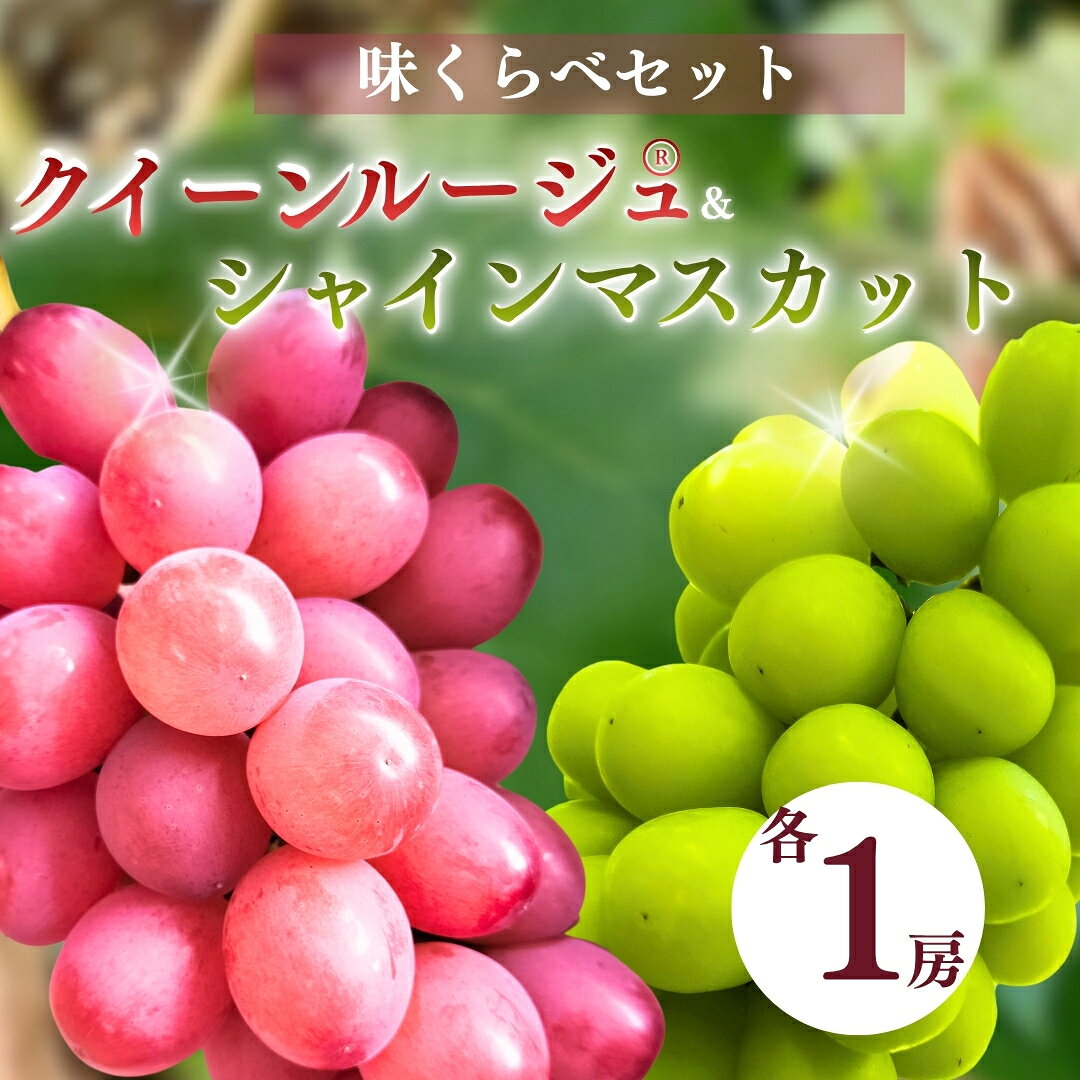 クイーンルージュ® × シャインマスカット 味くらべ各1房セット [半蔵農園] | クイーンルージュ® シャインマスカット葡萄 グレープ 信州ぶどう 種無し 皮ごと食べれる 白ぶどう 赤ぶどう 信州 長野 千曲市