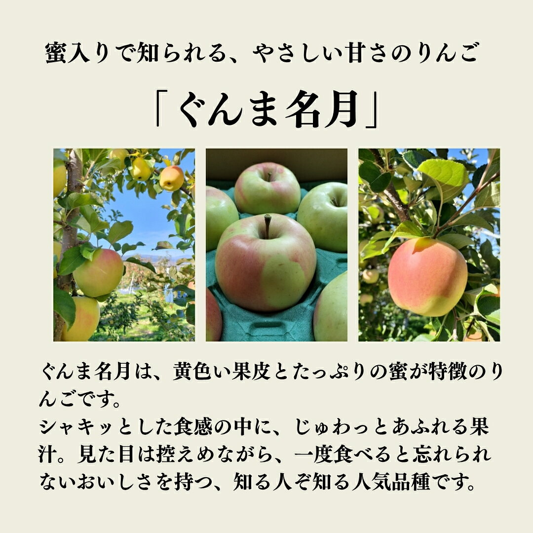 【ふるさと納税】ぐんま名月 [お楽しみ用 わけあり品] バラ詰め 約13kg (30個~50個) 【半蔵農園】 | ぐんま 名月 りんご 林檎 リンゴ 信州りんご 長野県 千曲市