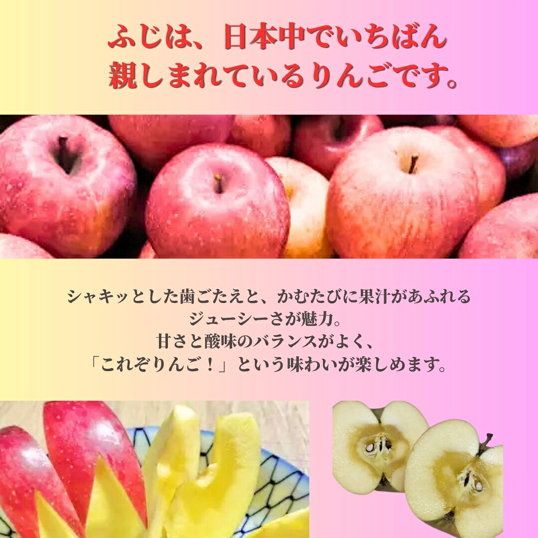 【ふるさと納税】ふじ [お楽しみ用 わけあり品] バラ詰め 約13kg (30個~50個) 【半蔵農園】 | りんご 林檎 リンゴ 信州りんご 長野県 千曲市