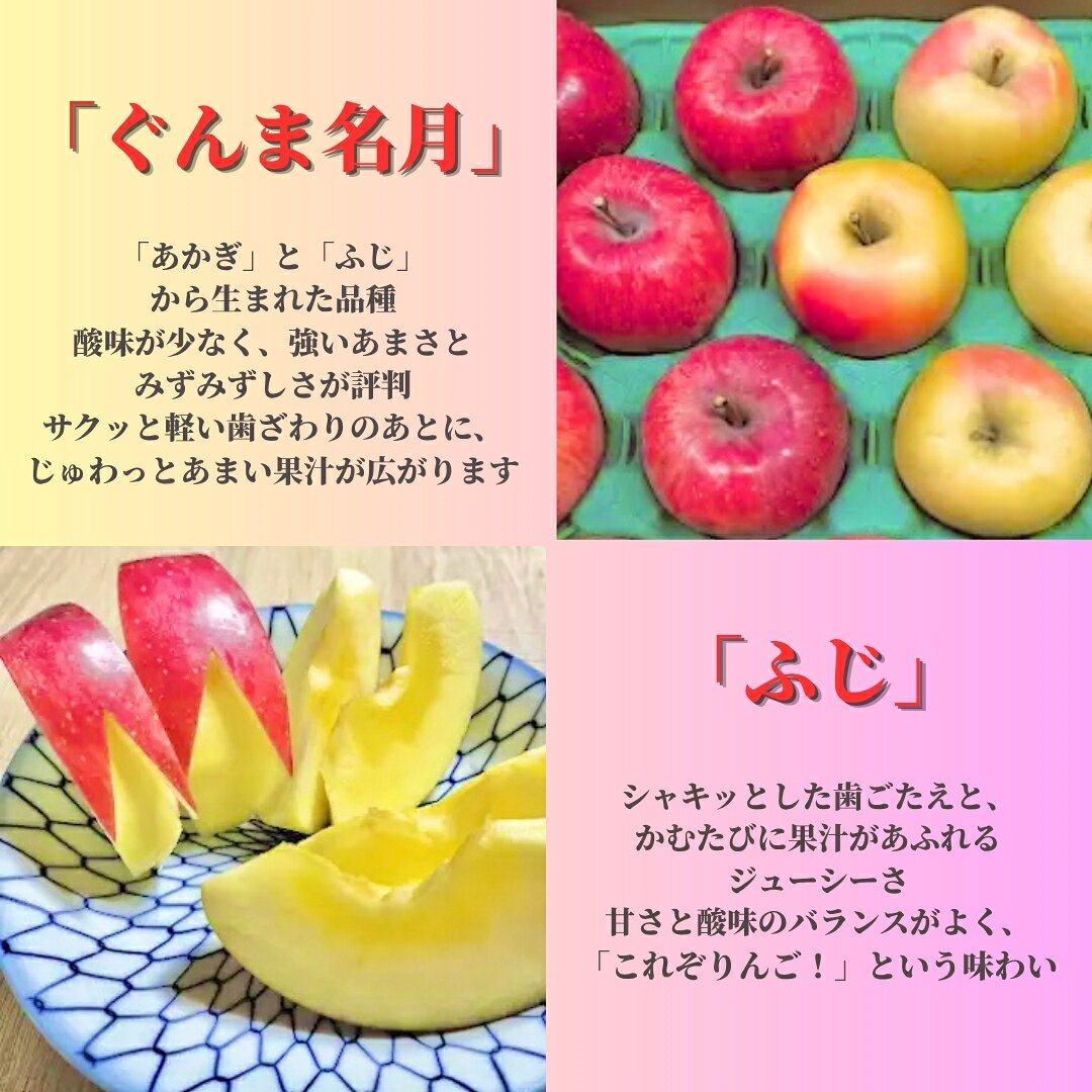 【ふるさと納税】ぐんま名月 × ふじ 味くらべセット 約4kg (12個~18個) 【半蔵農園】 | りんご 林檎 リンゴ 信州りんご 長野県 千曲市